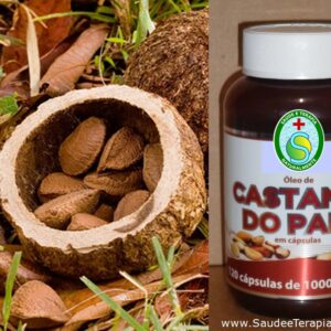 ÓLEO de CASTANHA DO PARÁ, Fonte de Selênio e Zinco