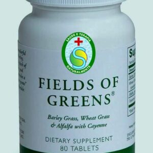 Fibras Verdes Para o Seu INTESTINO