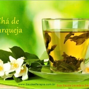 Chá de CARQUEJA Para Tratamento Natural da DIABETES