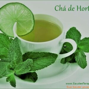 Chá de HORTELÃ Para Tratamento Natural da AZIA